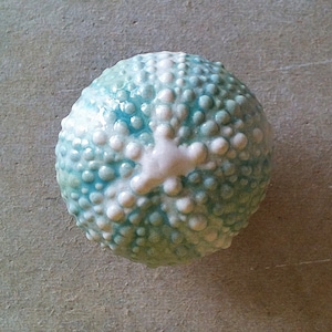 Urchin furniture knobs, cabinet hardware, drawer pulls
