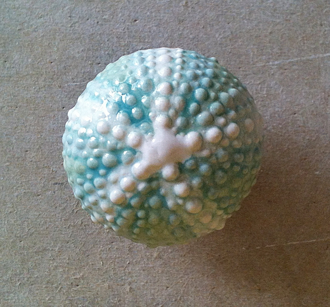 Coastal Drawer Knobs - Etsy
