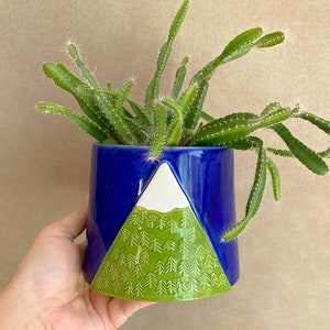 May include: A blue ceramic planter with a green and white mountain design. The planter is filled with a green cactus plant.