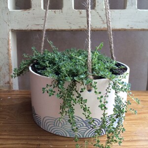 Handmade to order ceramic planter image 5