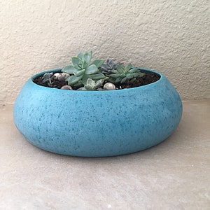 May include: A teal blue ceramic planter with a speckled finish, filled with a variety of succulents.