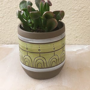 Puede incluir: Una pequeña maceta de cerámica verde y marrón con un diseño geométrico que presenta arcos blancos y puntos. Una planta suculenta con hojas verdes está creciendo en la maceta.