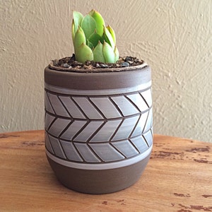 Puede incluir: Una pequeña planta suculenta en una maceta de cerámica marrón con un patrón de chevron blanco. La maceta está sobre una superficie de madera.
