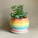 see more listings in the planters & cache pots section