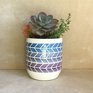 Puede incluir: Una maceta de cerámica blanca con un patrón geométrico en tonos azules y morados. La maceta está llena de una planta suculenta y una pequeña planta verde.
