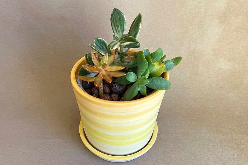 Handmade to order ceramic planter image 9