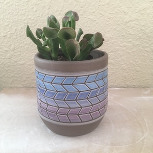 Puede incluir: Una pequeña planta suculenta en una maceta de cerámica marrón con un patrón geométrico azul y morado degradado.
