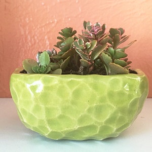 Customizable tiny textured ceramic planter handmade to order