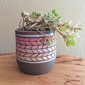 May include: A small succulent plant in a ceramic planter with a geometric pattern in shades of pink and white. The planter has a dark brown base.