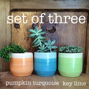 May include: Set of three succulent planters in pumpkin, turquoise, and key lime colours. The planters are made of ceramic and have a white rim.