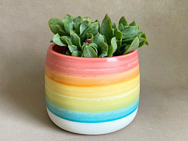 Handmade to order ceramic planter image 8