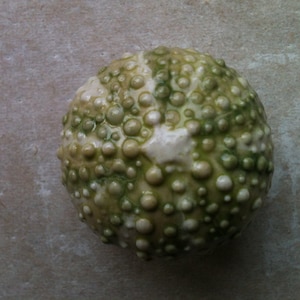 Urchin furniture knobs, cabinet hardware, drawer pulls