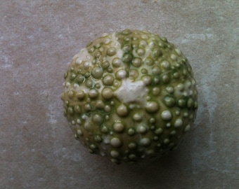 Pomos para muebles Urchin, herrajes para gabinetes, tiradores para cajones