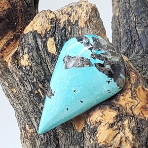 Peut inclure: Une pierre précieuse turquoise polie avec des inclusions noires, présentée sur une branche de bois texturée. La pierre est d'un bleu-vert vibrant, de forme triangulaire et avec une surface lisse et réfléchissante. Le bois a un aspect naturel et organique.