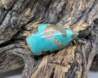 Number 8 High Dome Turquoise Cabochon