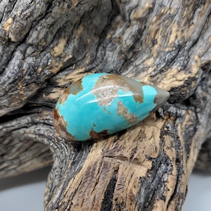 Pu&ograve; includere: Un cabochon di turchese a forma di lacrima con matrice marrone. Il turchese &egrave; di un colore blu-verde vibrante e la matrice &egrave; di un colore marrone scuro.
