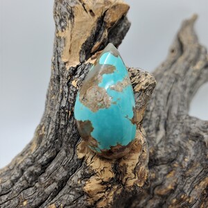 Pu&ograve; includere: Un cabochon di turchese a forma di lacrima con matrice marrone e un colore blu-verde. La pietra &egrave; appoggiata su un pezzo di legno galleggiante.