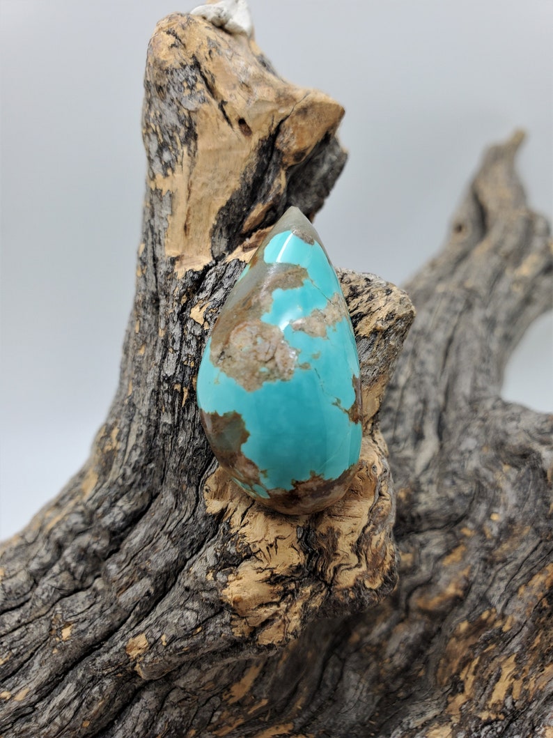 Pu&ograve; includere: Un cabochon di turchese a forma di lacrima con matrice marrone e un colore blu-verde. La pietra &egrave; appoggiata su un pezzo di legno galleggiante.