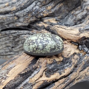 May include: A green and black cabochon stone with a speckled pattern, set in a silver bezel. The stone is sitting on a piece of weathered wood.
