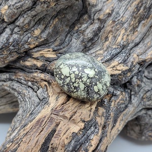 May include: A green and black speckled stone cabochon with a smooth, polished surface. The stone is resting on a piece of weathered driftwood.