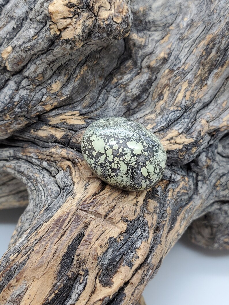 May include: A green and black speckled stone cabochon with a smooth, polished surface. The stone is resting on a piece of weathered driftwood.