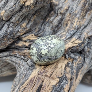 May include: A light green and black variscite cabochon with a speckled pattern. The cabochon is sitting on a piece of weathered driftwood.