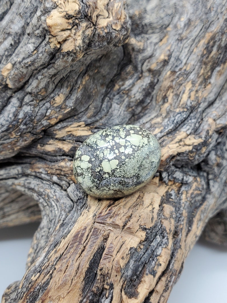 May include: A light green and black variscite cabochon with a speckled pattern. The cabochon is sitting on a piece of weathered driftwood.