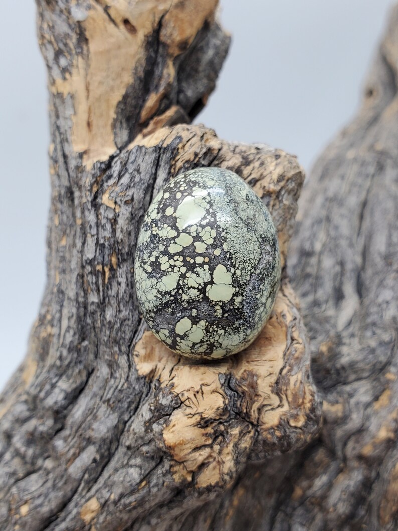 May include: A green and black oval shaped cabochon of turquoise with a mottled pattern. The stone is sitting on a piece of driftwood.
