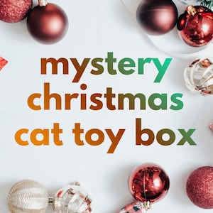 Może przedstawiać: Świąteczna aranżacja z bombkami choinkowymi, gwiazdą betlejemską i szyszką. Tekst "mystery christmas cat toy box" jest wyświetlany w gradientu pomarańczu, zieleni i żółci.