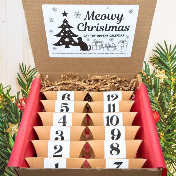 Cat Toy Advent Calendar - 12 Days of Christmas