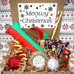 Christmas Cat Toy Gift Box