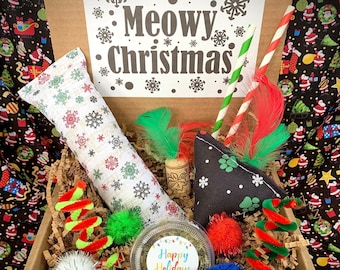 Christmas Cat Toy Gift Box