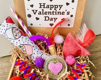 Valentine’s Day Cat Toy Gift Box