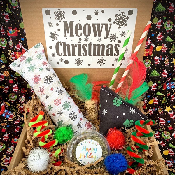 Christmas Cat Toy Gift Box