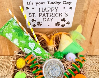 St. Patrick’s Day Cat Toy Gift Box