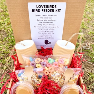 Valentine’s Day Craft Bird Feeder Kit, craft kits for kids, kids craft kits, craft kit for kids, craft kit, craft kits, kids crafts