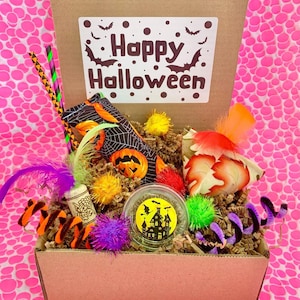 Halloween Cat Toy Gift Box