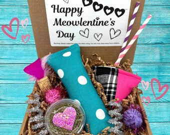 Valentine’s Day Cat Toy Box