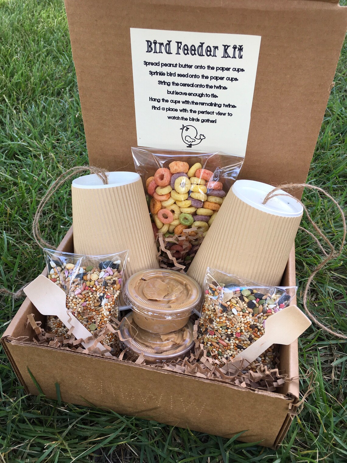 Bird Feeder Kit For Kids Etsy