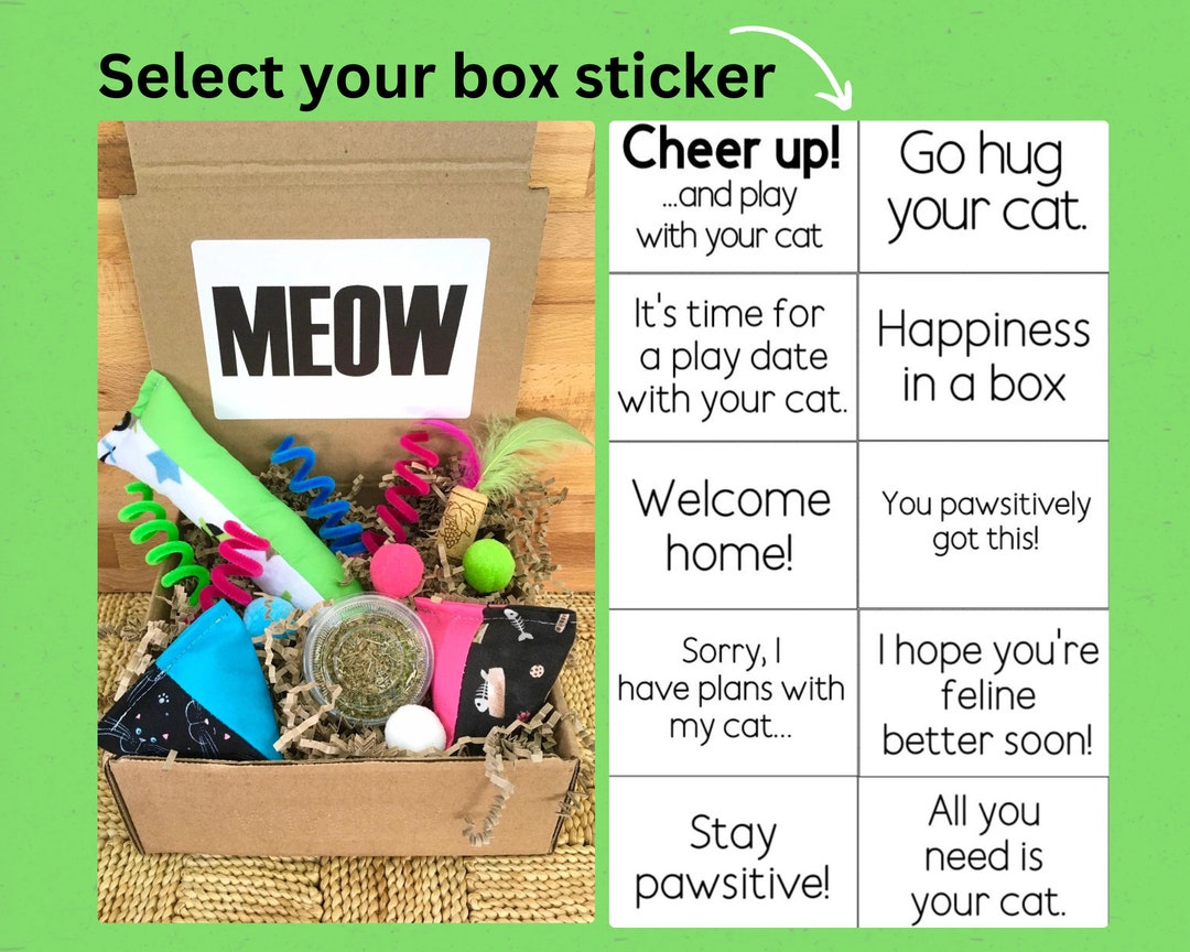 Cat Toy Box Cat Gift Box Catnip Toy Cat Food Toy Catnip Etsy