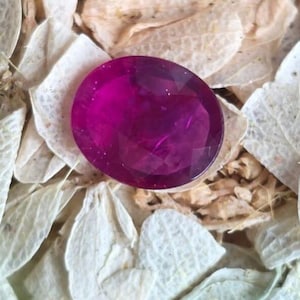 May include: A faceted, oval-shaped, deep magenta gemstone. The gem is set against a backdrop of dried, off-white petals and small, tan fragments. The gem's surface reflects light, showcasing its cut and color.