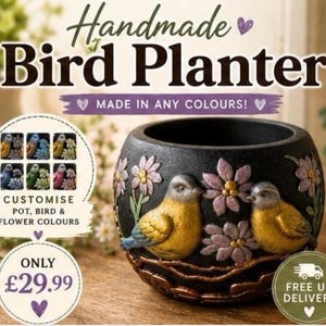 Bird Plant Pot, Custom Colour Bird Planter, Handmade Cute Bird Flower Pot, Decorative Indoor Planter, Unique Gift for Plant Lovers