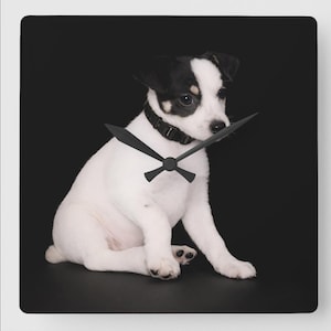 May include: Square wall clock featuring a Jack Russell Terrier puppy with black and white markings, wearing a black collar. The clock has black hands and a black background.