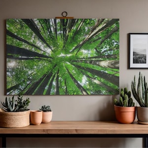 Puede incluir: Un gran lienzo con una vista de la copa de un bosque desde abajo. Altos y rectos troncos de árboles se alzan, con sus hojas verdes formando un patrón circular. El lienzo cuelga sobre una mesa de madera con plantas en macetas.