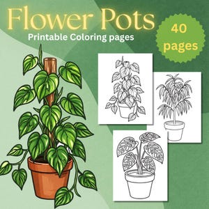 May include: An illustration of a potted plant with large green leaves and a brown pot. The image also includes three black and white line drawings of different potted plants. Text reads "Flower Pots Printable Coloring pages" and "40 pages".