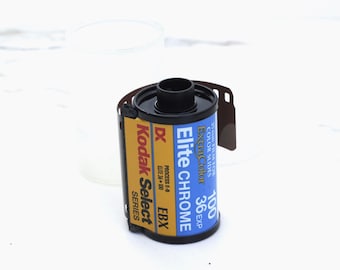 Kodak Elite Chrome 100 EBX-diafilm – verlopen: kleuromkering: 36 opnamen