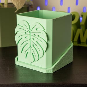 Könnte beinhalten: Hellgrüner quadratischer Blumentopf mit passender Untertasse. Der Topf hat ein erhabenes Monstera-Blatt-Design auf der Vorderseite. Geeignet für kleine Pflanzen und für den Innenbereich konzipiert.
