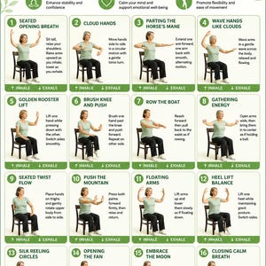 May include: An instructional poster titled Chair Tai Chi Exercise Program for Women, featuring 16 numbered panels with illustrations of a person performing seated movements on a chair, accompanied by descriptive text for each exercise.