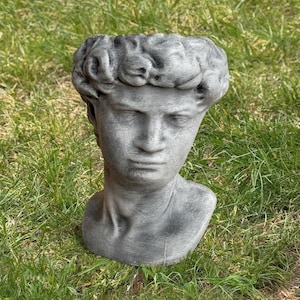 May include: A gray, sculpted bust of a classical figure, likely a planter or decorative item. The bust features detailed facial features and curly hair, with a weathered appearance. The sculpture is set against a backdrop of green grass.