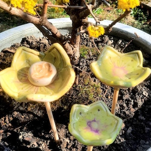 Könnte beinhalten: Drei Gartenstecker aus Keramik in Gelb- und Grüntönen mit Holzstielen sind in einem Topf mit einem kleinen Baum gepflanzt. Die Blumen haben eine glänzende Oberfläche und sind in der Erde angeordnet.